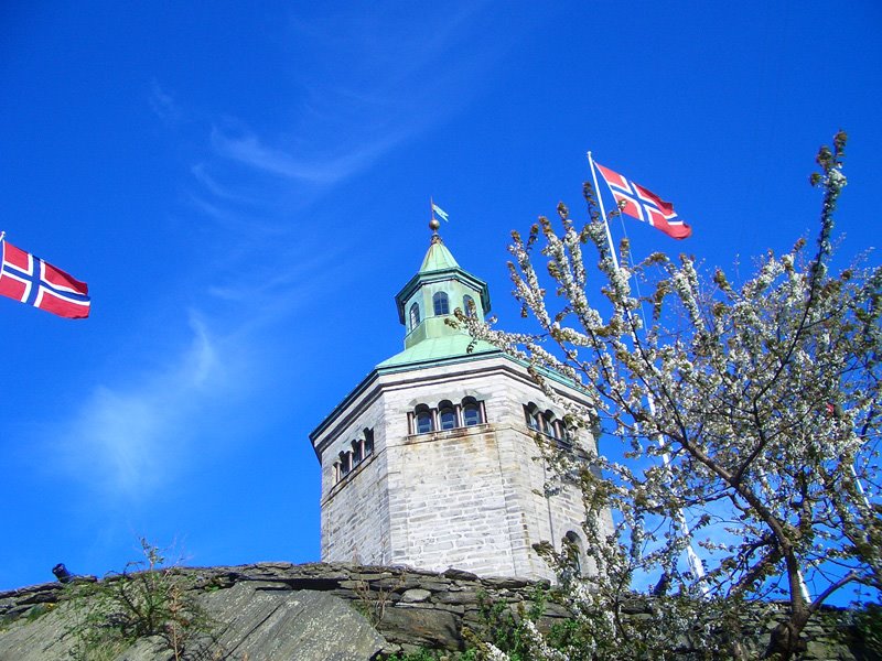 Stavanger, Norway by Larisa Lutskova