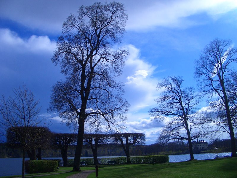 Gripsholmen palace (near Stockholm), Sweden by Larisa Lutskova