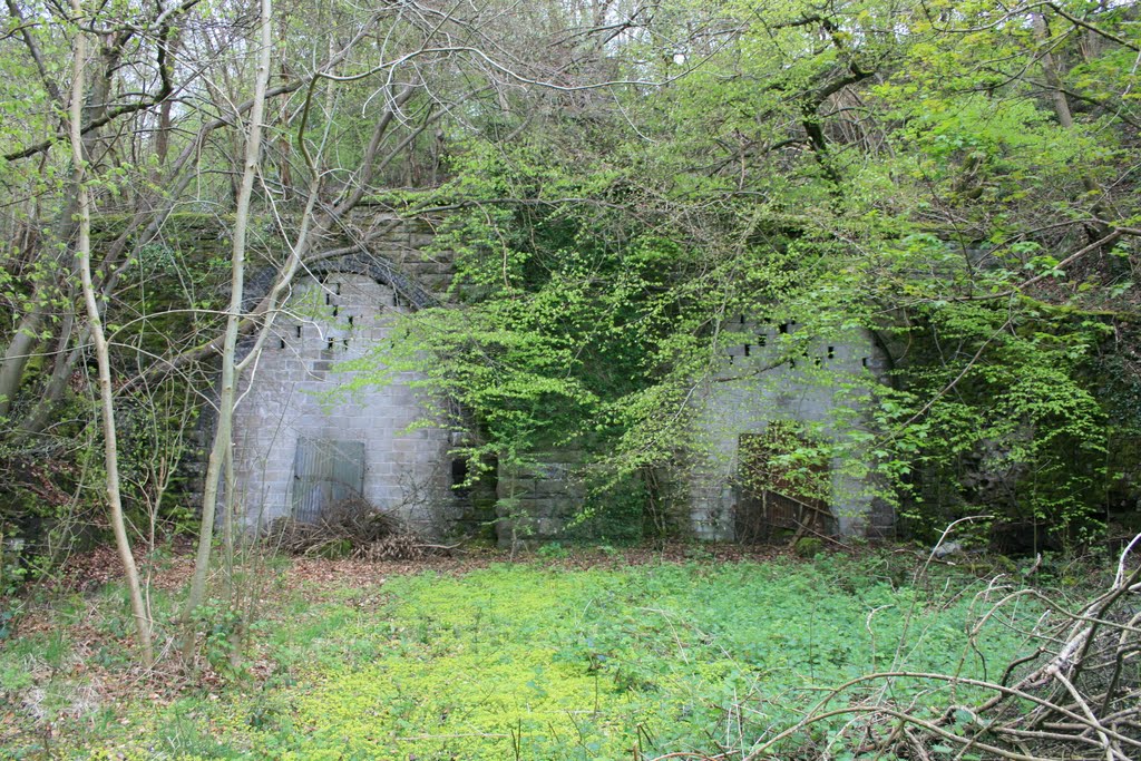 Clydach Gorge Railway Tunnels 2 by Adam Harvey