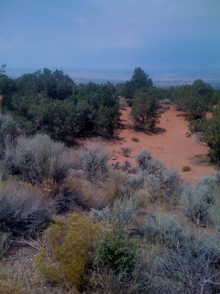 Colorado National Monument by genezalar