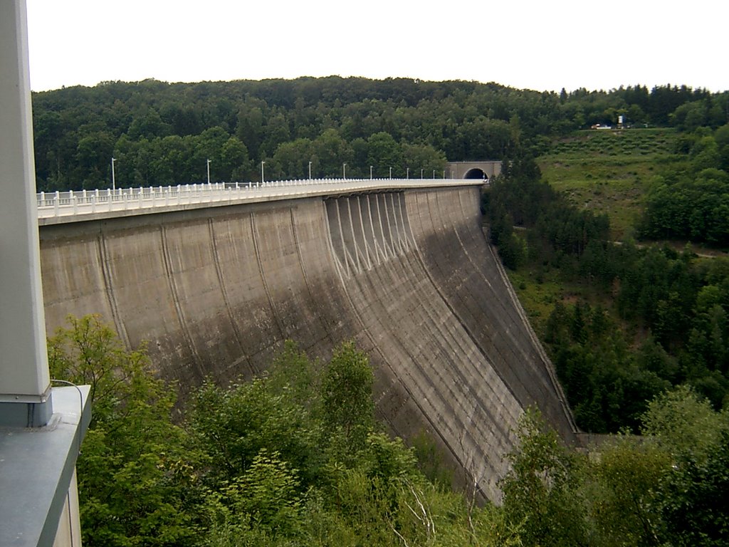 Germany_Saxony-Anhalt_Harz Mountains_Rappbode Dam_37 by George Charleston