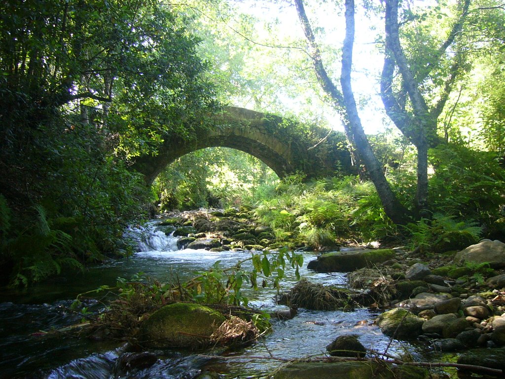 : Puente romano by Lazariparcero