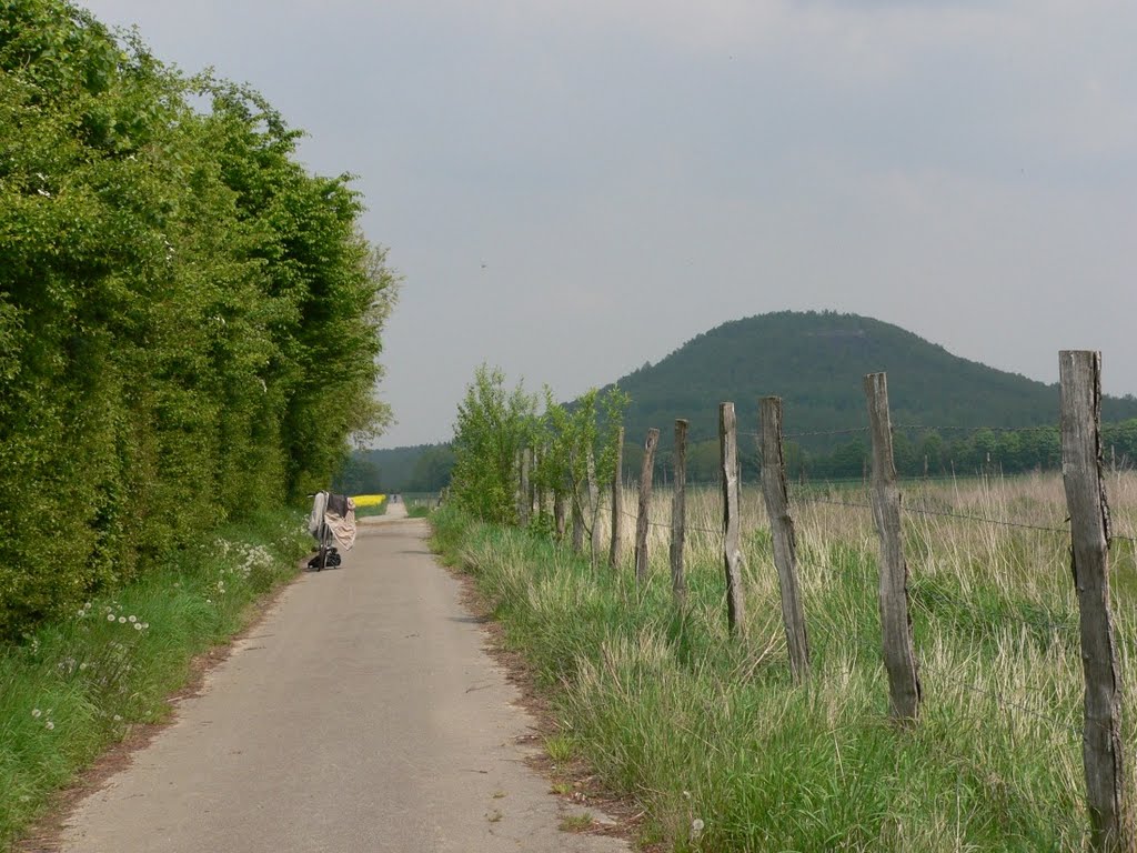 MERKSTEIN zicht richting steenberg by walterskrutser