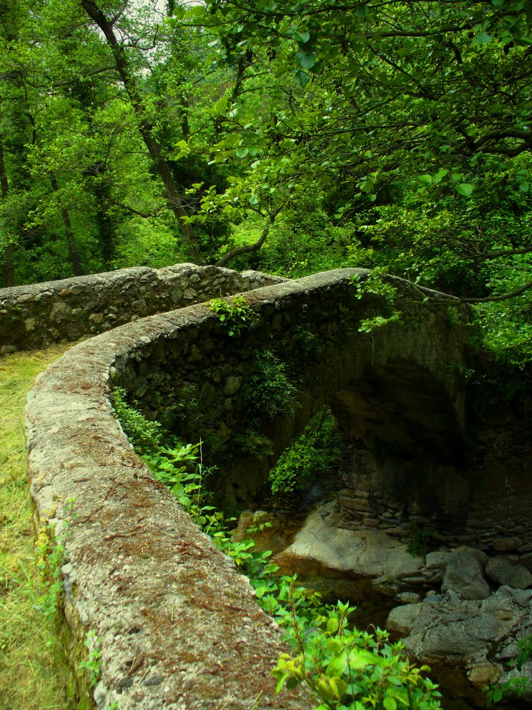 Un ponte in pietra da favole by ∞ gf ∞