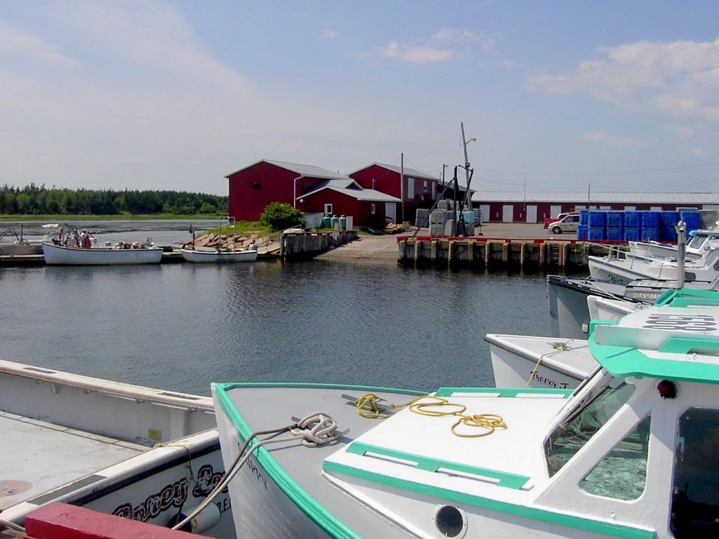 Tracadie Harbour by John Bentley