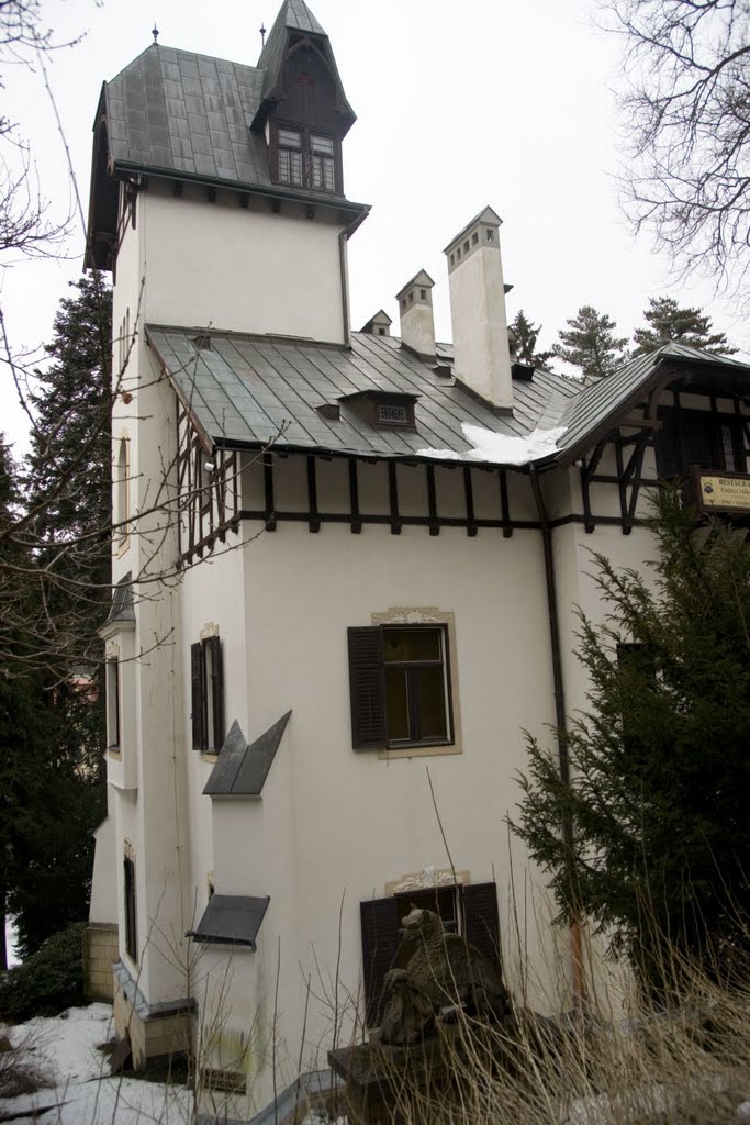 Mariánské Lázně - Anglická - View West on Villa Luginsland / L.I.L. 1901 by txllxt