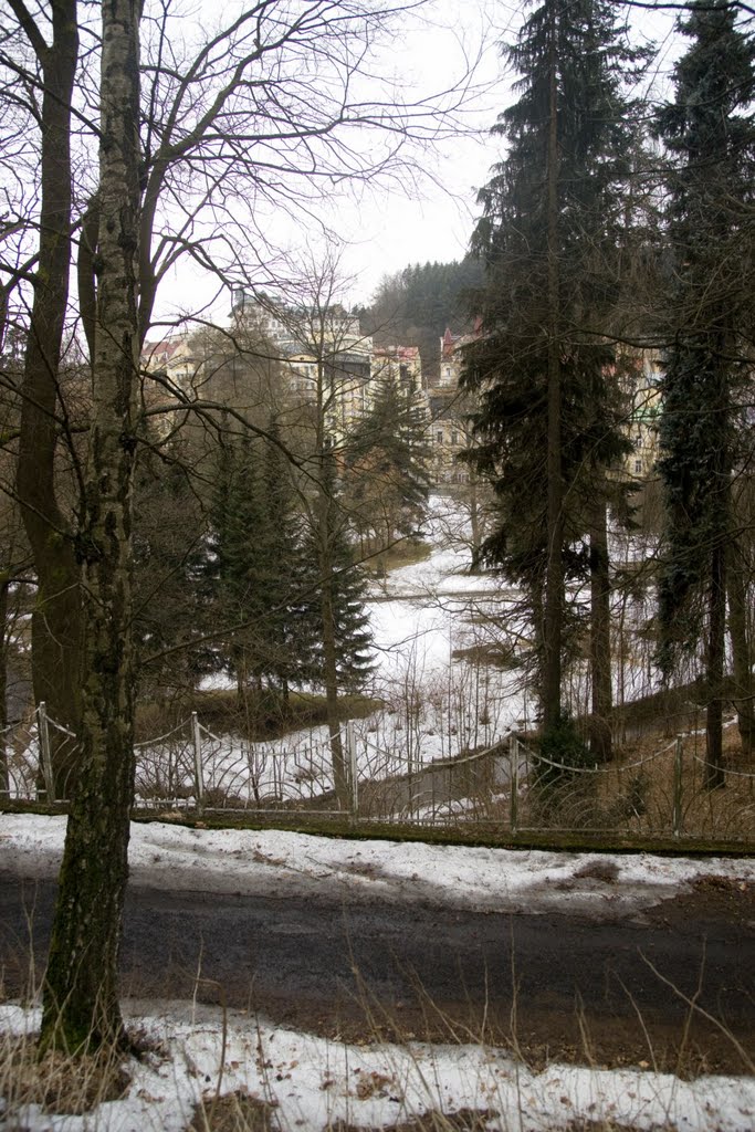 Mariánské Lázně - Anglická - View WSW towards Hotel Villa Butterfly 1995 by txllxt