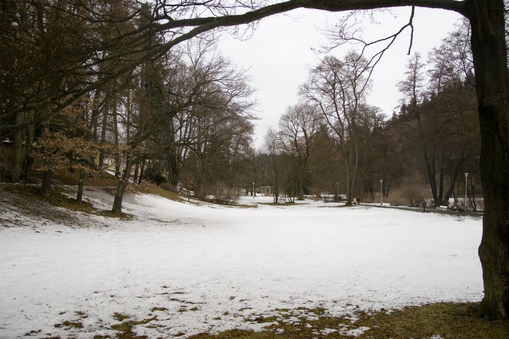 Mariánské Lázně - Spa Park - View North by txllxt