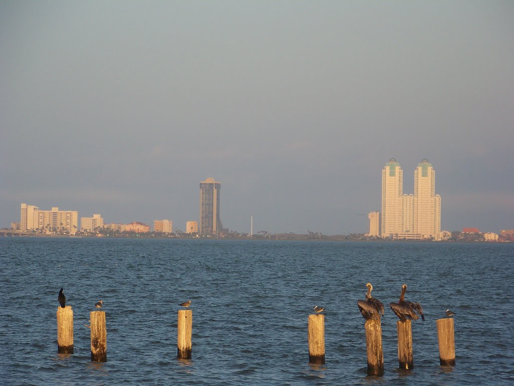 Looking South Padre Island - all have their own posts 2/21/2010 by Wester