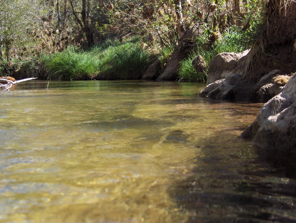 East Verde 2 by Wayne Ligon