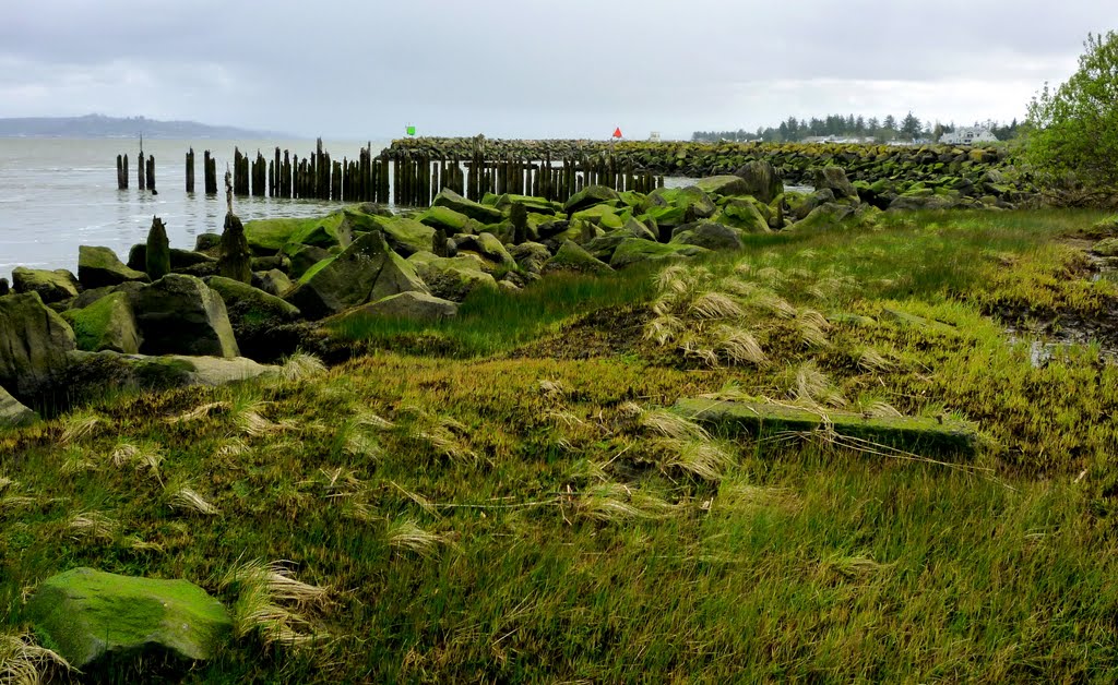 South shore of the Columbia River - 04/2010 by GJBeide