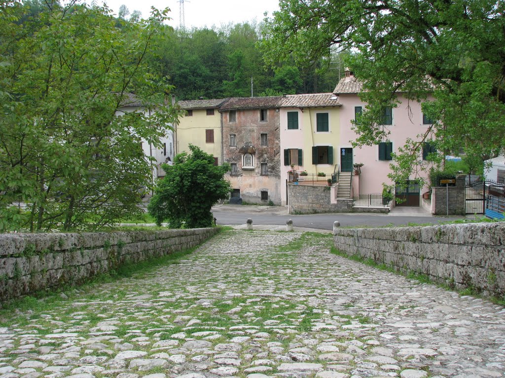 Il ponte di S. Francesco by Andrea779