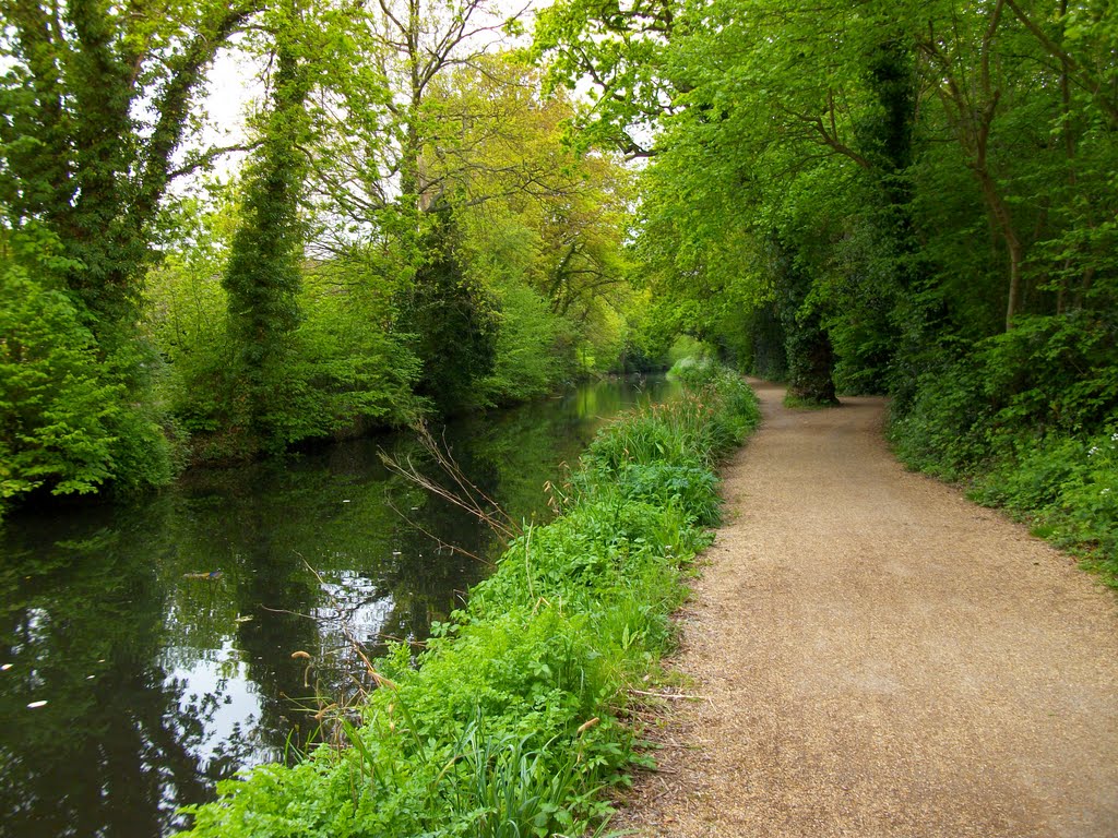 Canal in the Spring - 2010 by Malcolm Head