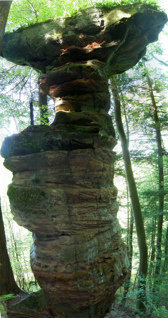 Tabletop Rock Pano - Hocking Hills State Park by packard33