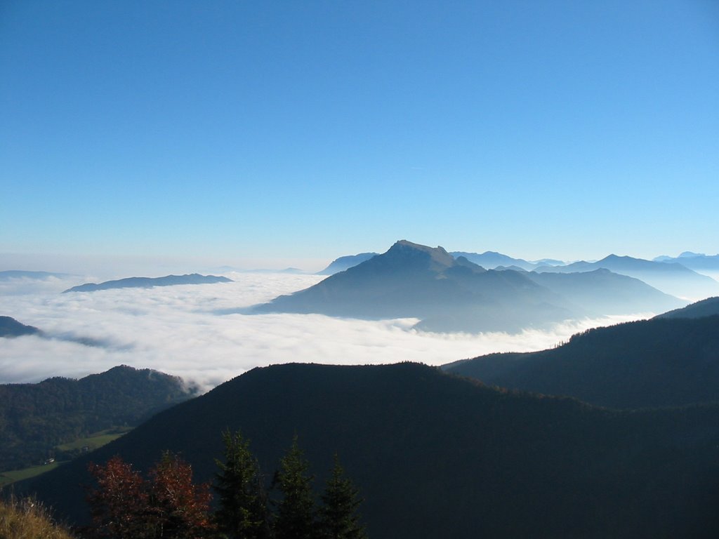 Blick von faistenauerschafberg richtung Schafberg by tjakober