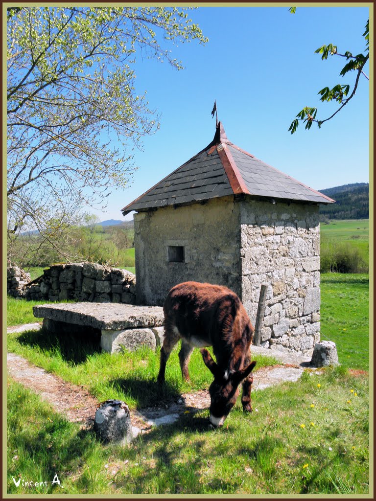 Ancienne bascule à Izenave by Vincent Allard