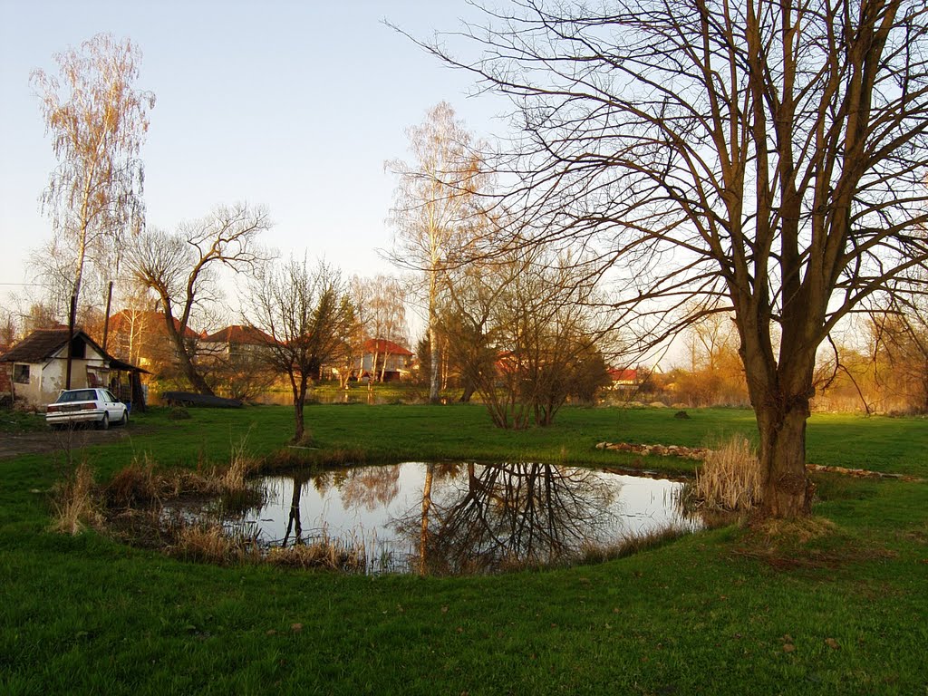 Louka a jezírko za mlýnem na Lužnici u Soběslavi - Meadow and pond behind watermill at Lužnice near Soběslav by Tomas K☼h☼ut