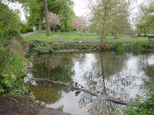 The lake in Ruskin Park, Southwark by masaiboy