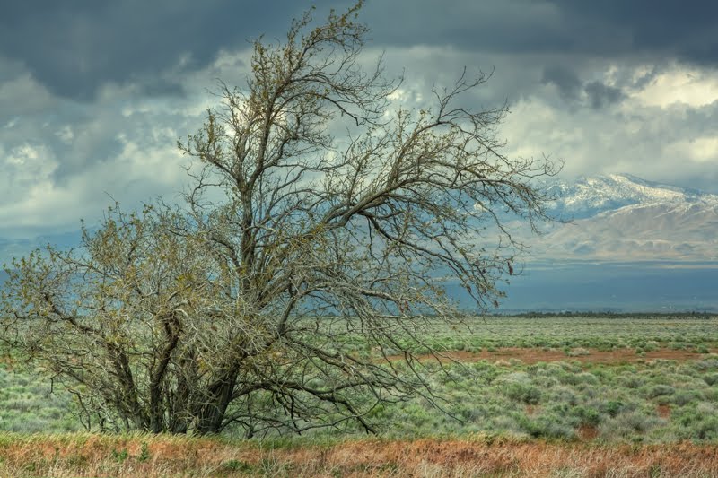 Outside Lancaster by Vincent James