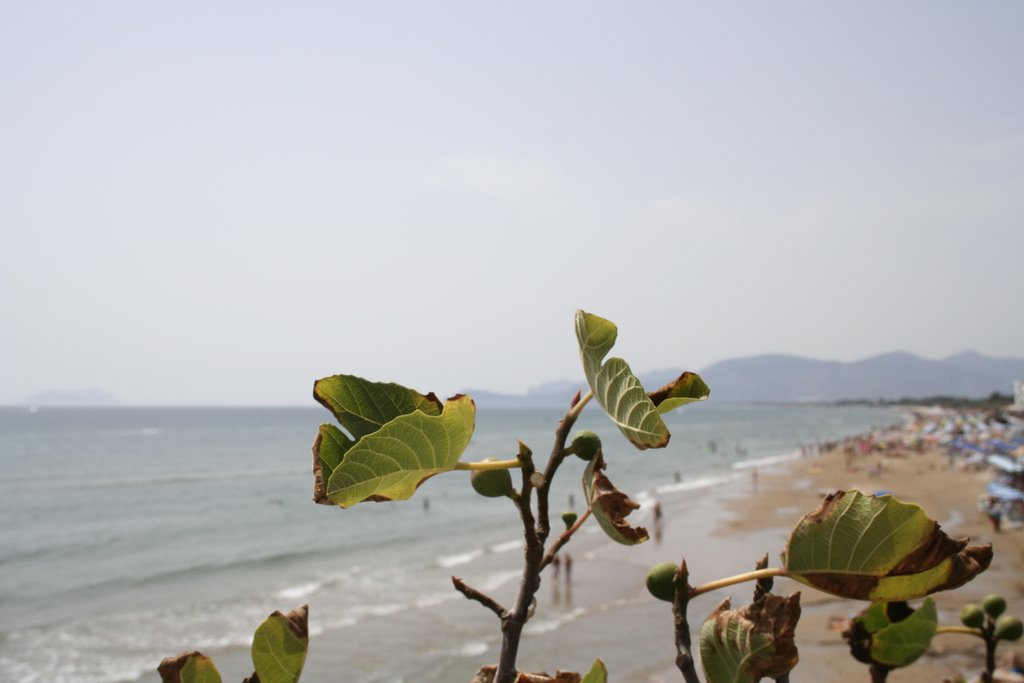 Sperlonga's sea by gigi91