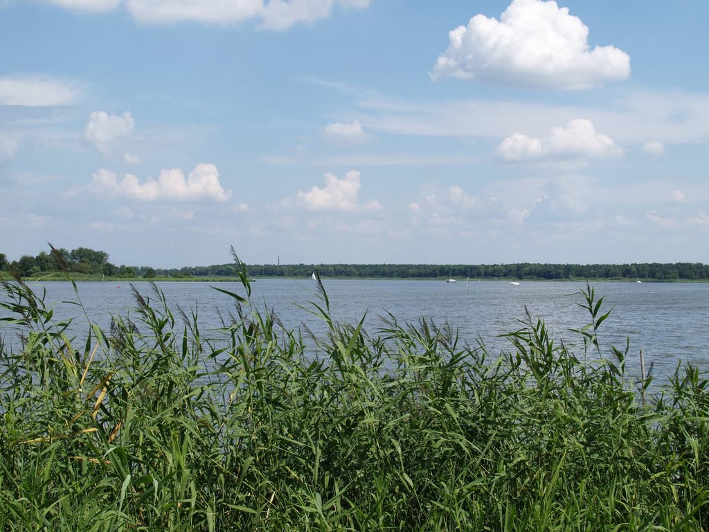 Brandenburg, Grosser Wüsterwitzersee by ceesmes