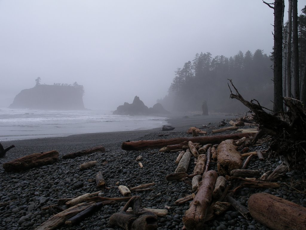 Ruby Beach by bc_outdrsman