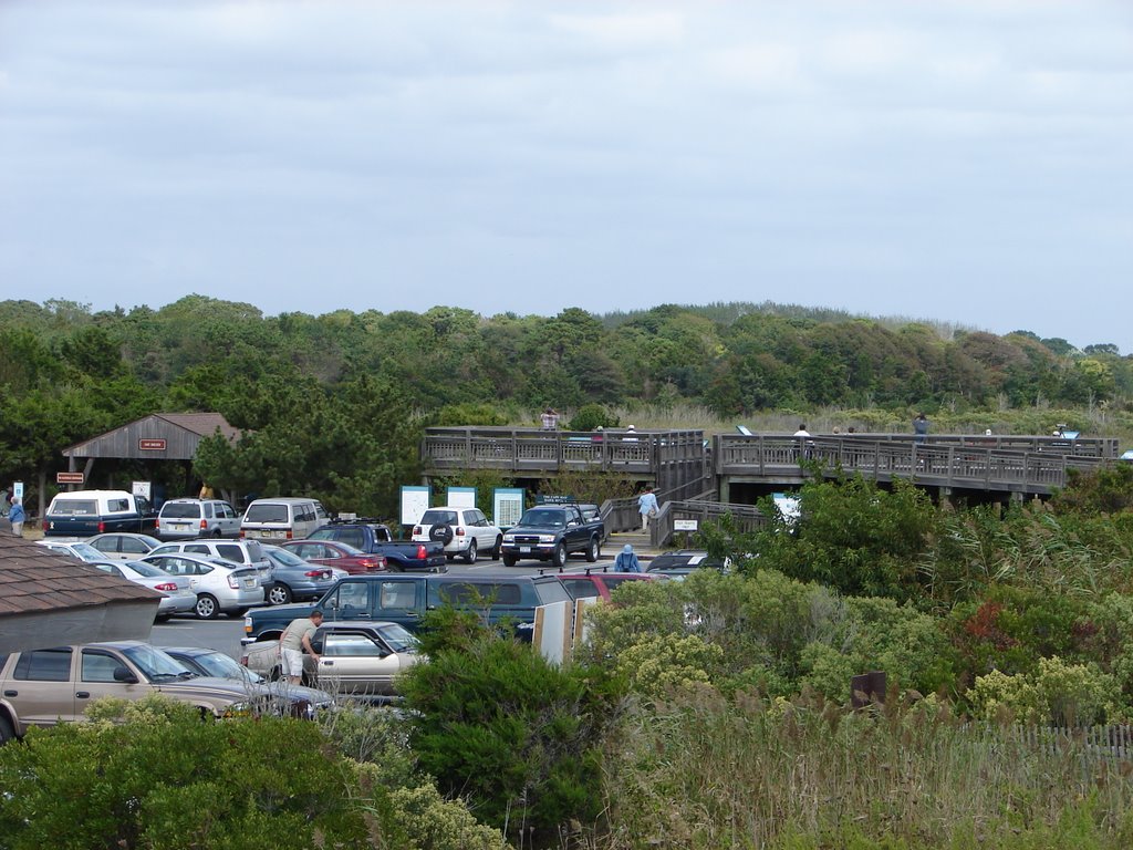 Birdwatching Platform, Cape May Point, NJ by walmond217