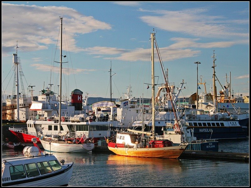 Vesturbær, 101 and 107 Reykjavík, Iceland by 尼尔伯