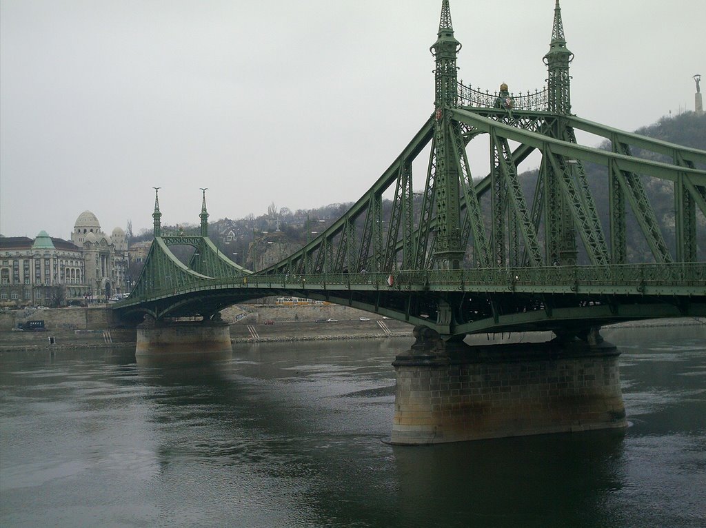 Liberty Bridge (Budapest, Hungary) by Dario Flego