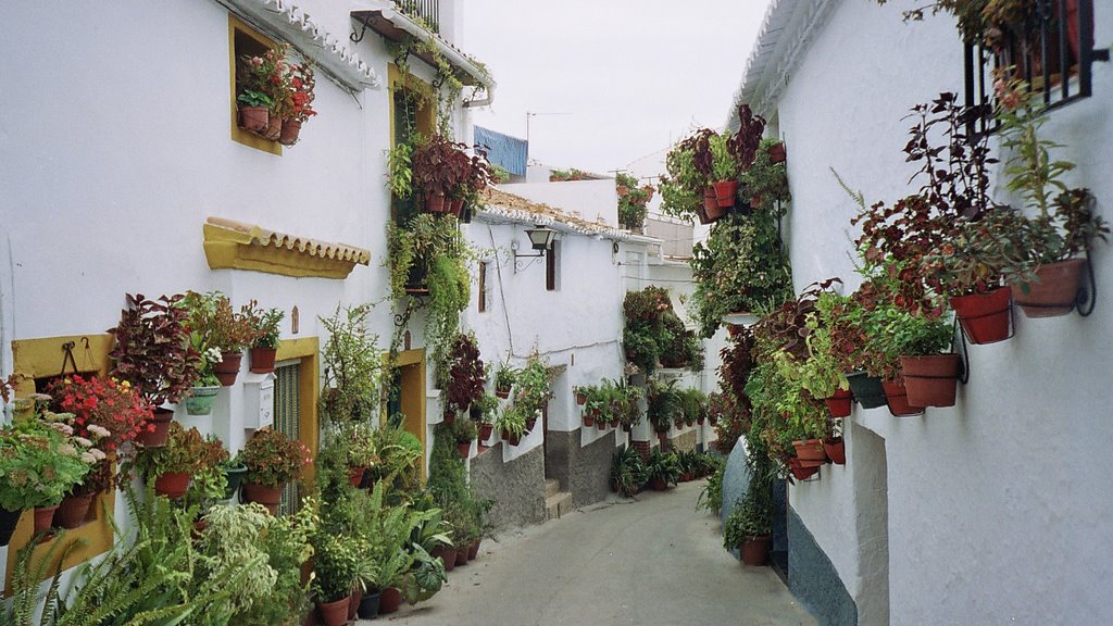 29716 Canillas de Aceituno, Málaga, Spain by Dan--A--