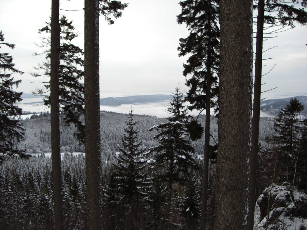 Dezember 2009, Thüringer Wald, nähe Bermbach by sellike