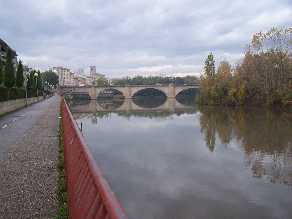 Puente de Piedra sobre el río Ebro by Romest