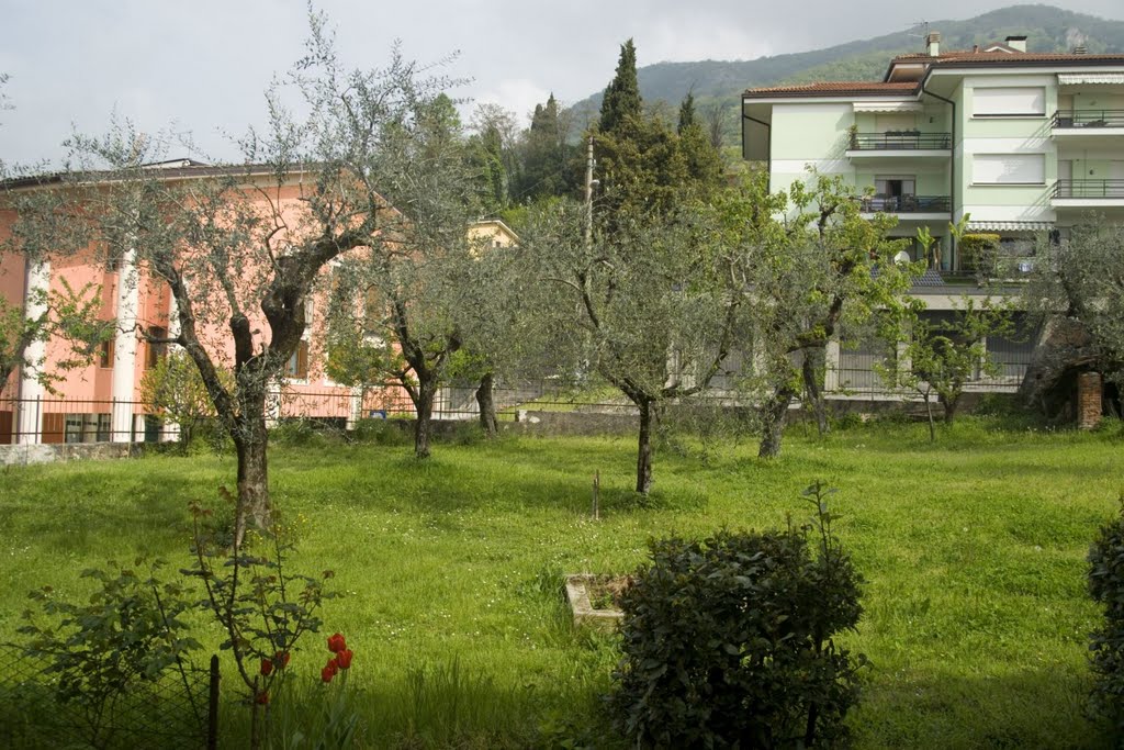 Lago di Garda - Salò - Via della Rocchetta - View North by txllxt