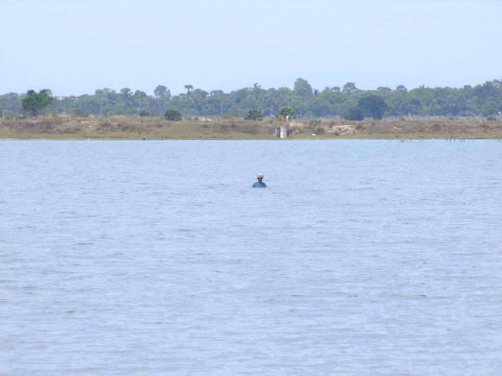 Fisherman in Batticaloa Lagoon by Mohan