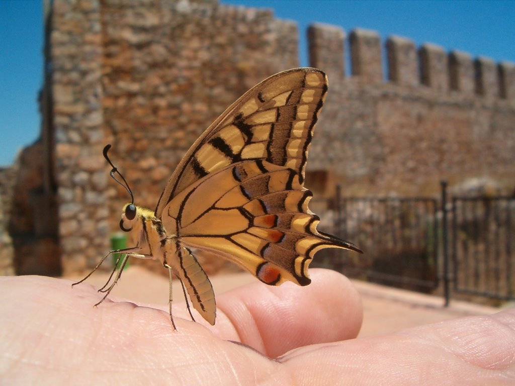 Antalya - Alanya Kalesi -3 by Emel ÇIRAK