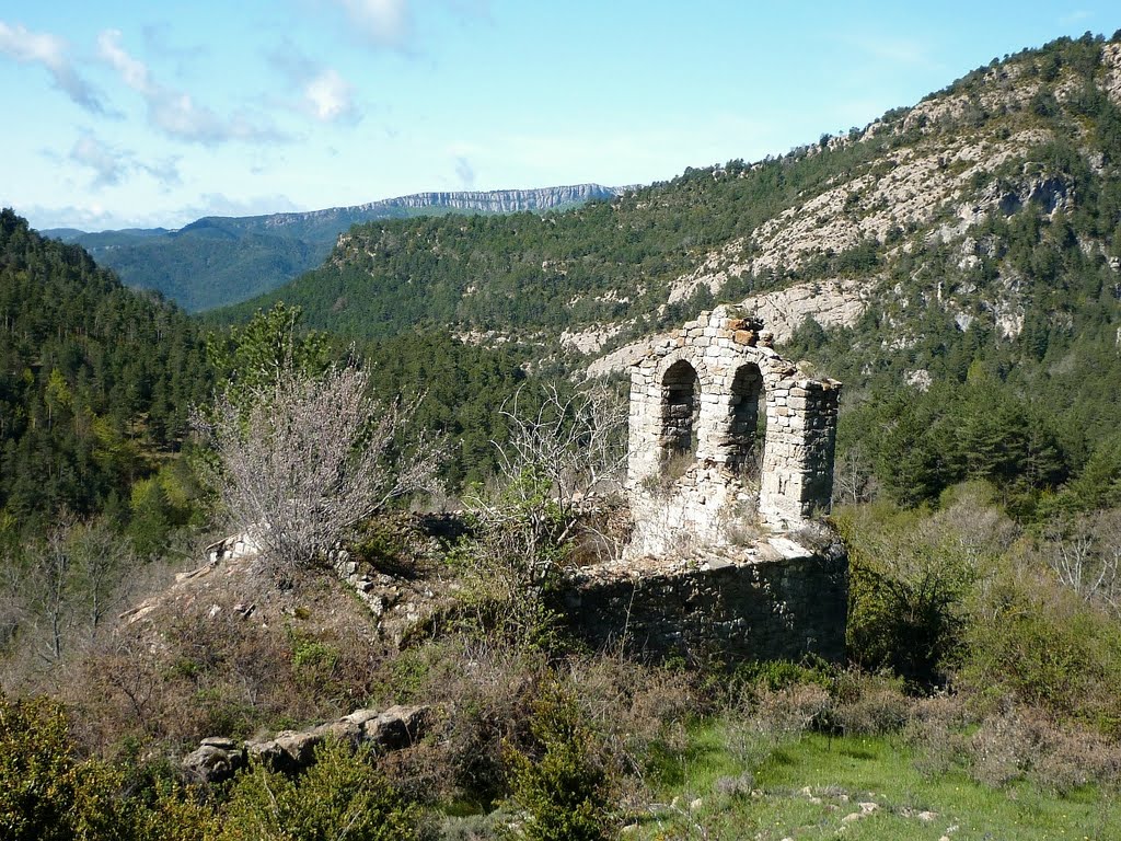 Les runes de l'ermita de Sant Martí de les Canals by Isidre Blanc