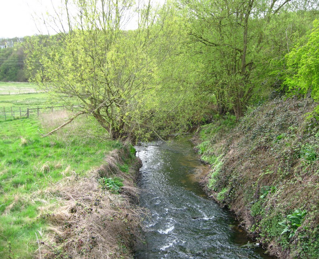 Smestow Brook, Swindon by pedrocut