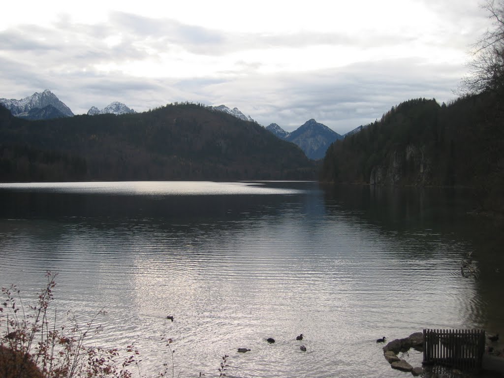 Alpsee bei Schloss Hohenschwangau by Andreas-Müller - NO VIEWS