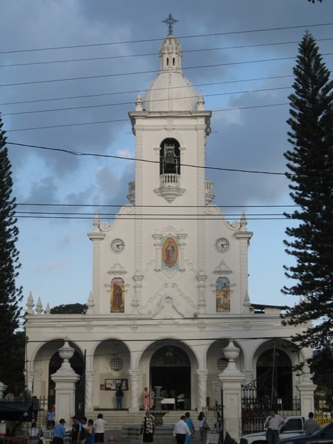 La Ceiba de Guadalupe by gjjimenez