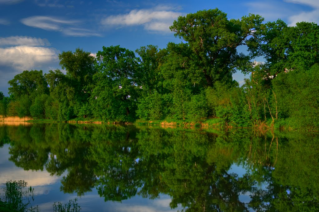 Stara Odra by Vonpaulus78