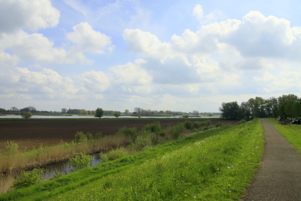 Waaldijk bij Brakel by watersnip