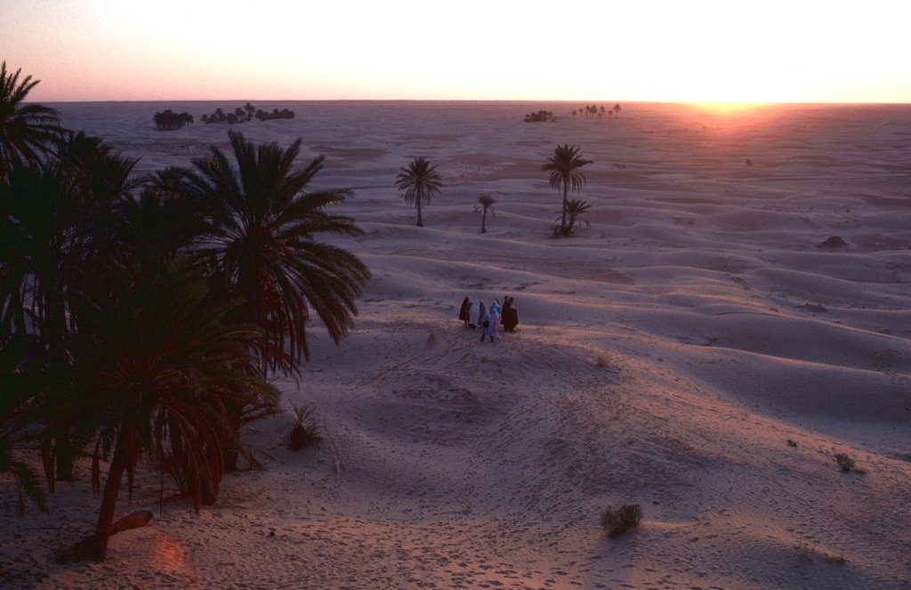 Sahara at Douz, Tunisia. by BenJoh