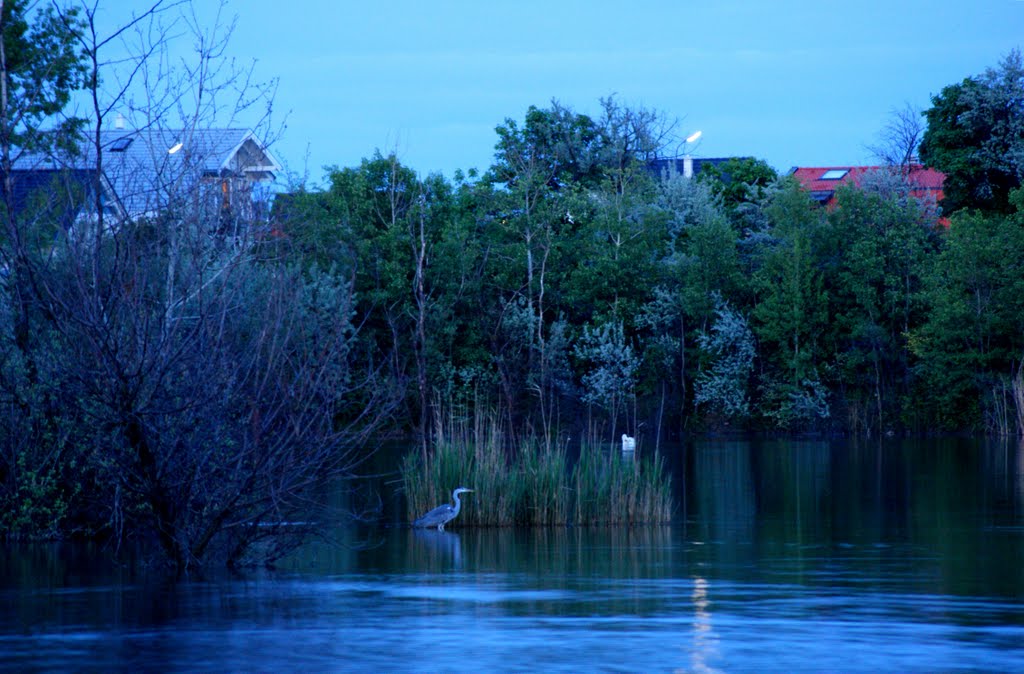 Am See/ Wien by ranko maric