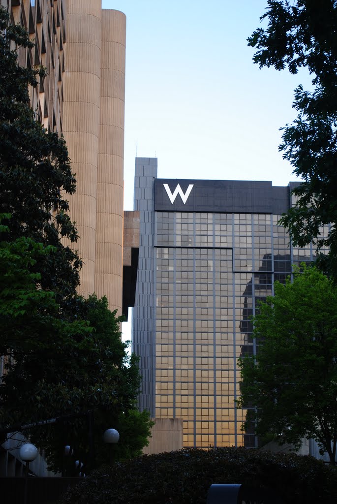 W Hotel in Colony Square by Arnage