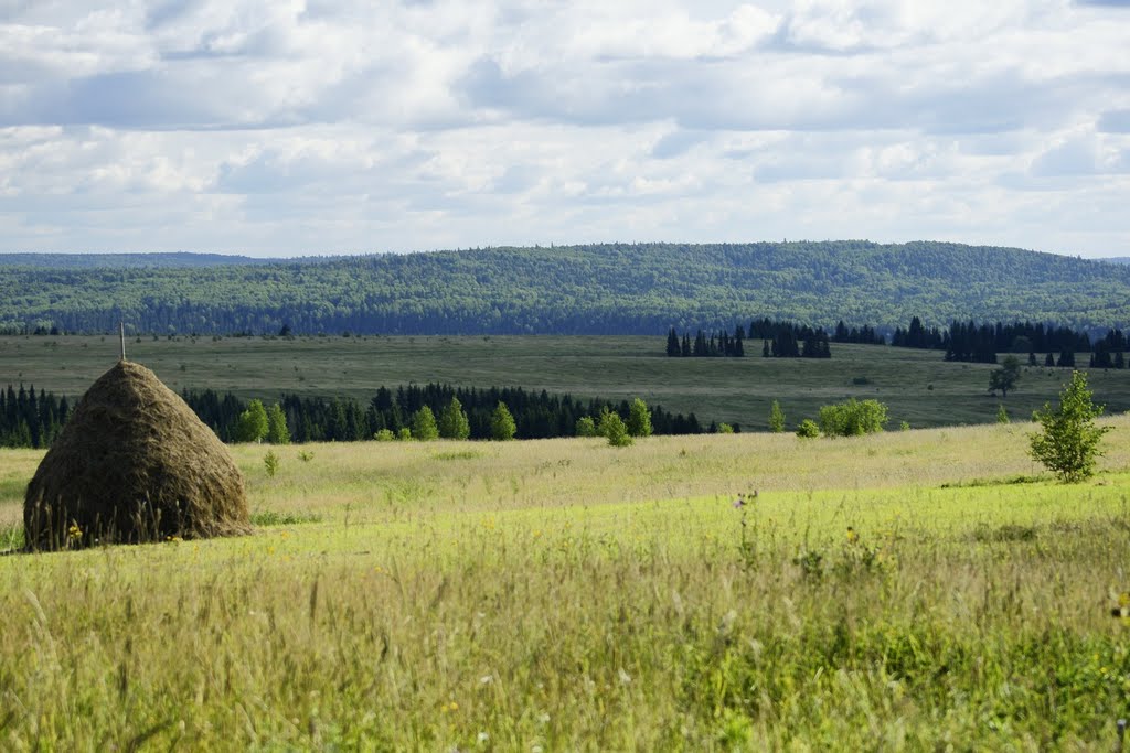 С.Молебка, "Стог" by Перин Александр Анатольевич