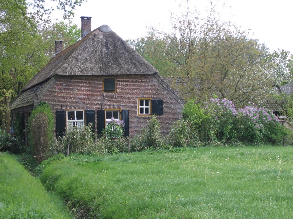 Huisje in Helmond by Kalinovits Gergő