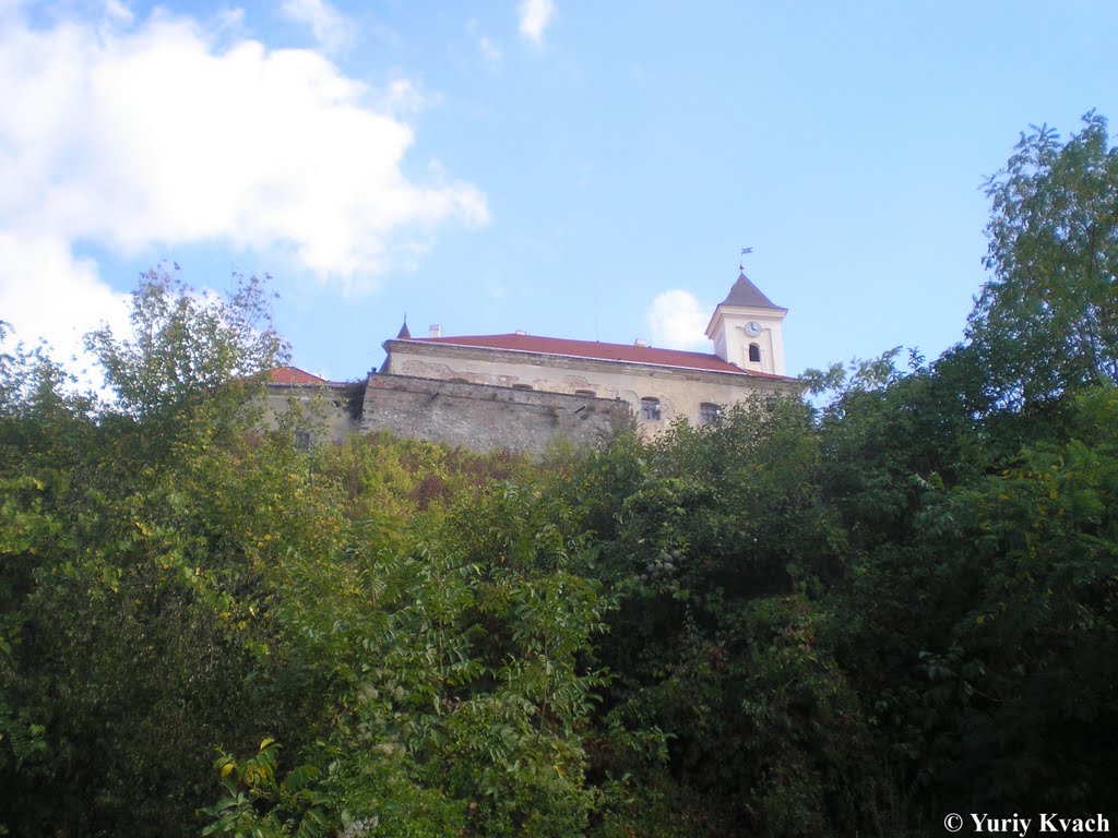 View to Mukachevo Castle by Yuriy Kvach