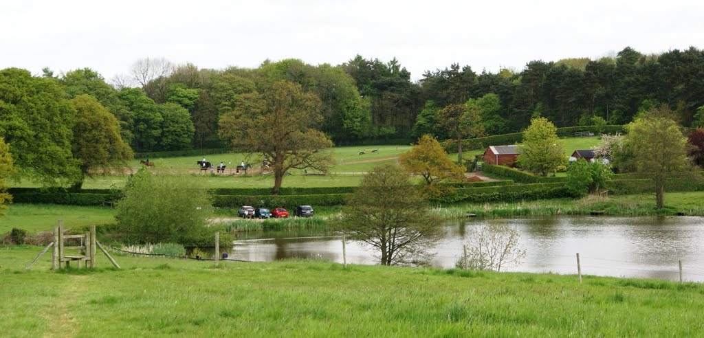 Fishing pond near Cicely Mill, Rostherne by Bigdutchman