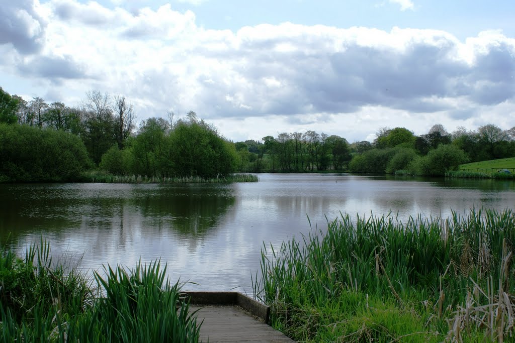 Fishing pond near Cicely Mill, Rostherne by Bigdutchman