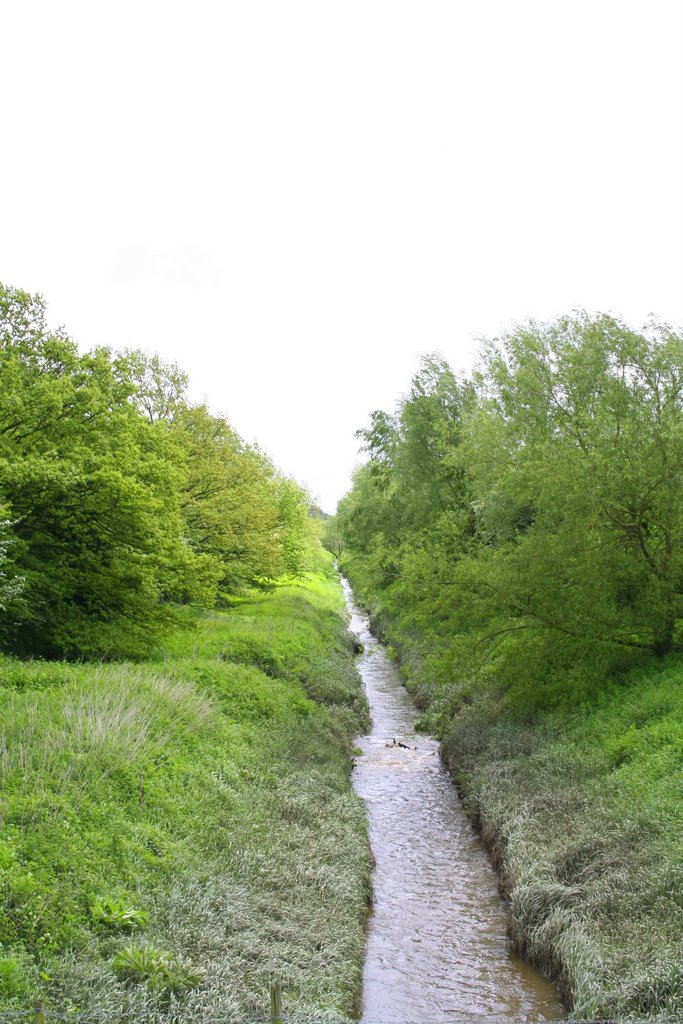 Ribble Feed by jamiebarron